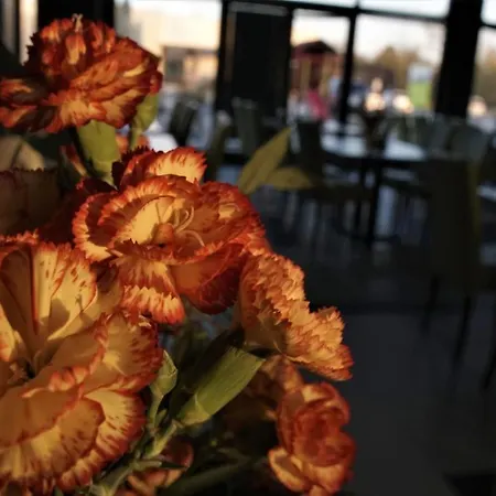 Jordaszka Aparthotel Wodzislaw Slaski