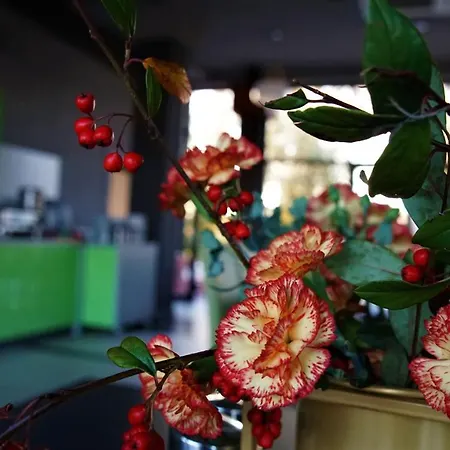 Jordaszka Aparthotel Wodzislaw Slaski