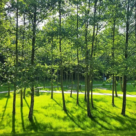 Jordaszka 3* Wodzisław Śląski