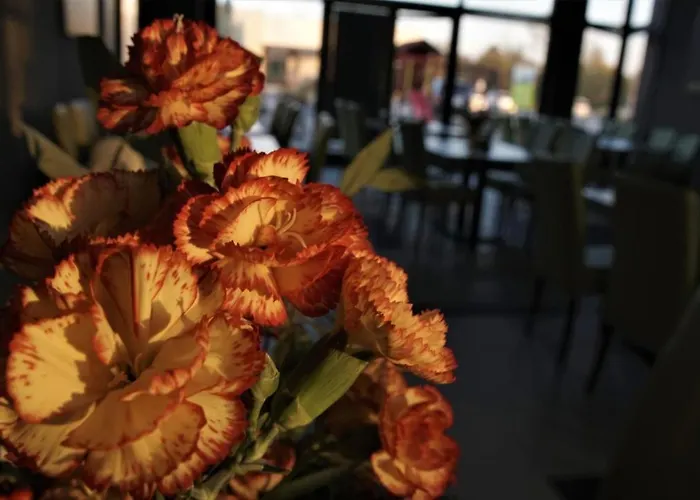 Jordaszka Aparthotel Wodzislaw Slaski