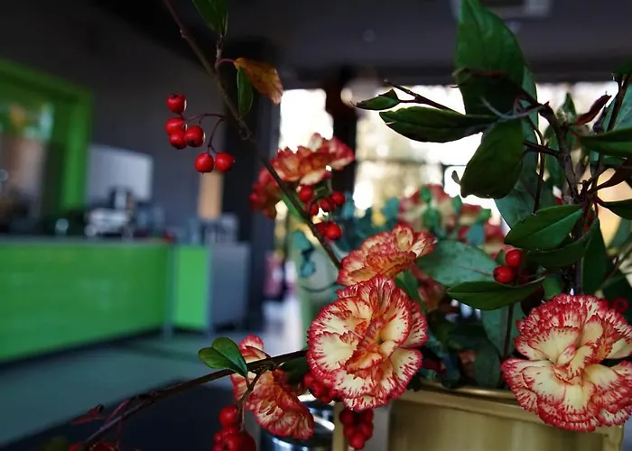 Jordaszka Aparthotel Wodzislaw Slaski